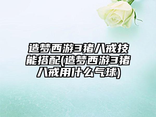 造梦西游3猪八戒技能搭配(造梦西游3猪八戒用什么气球)