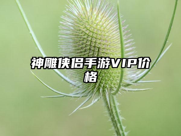神雕侠侣手游VIP价格