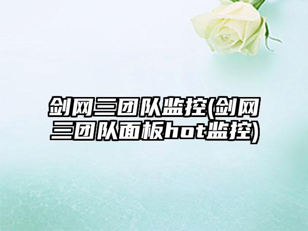 剑网三团队监控(剑网三团队面板hot监控)