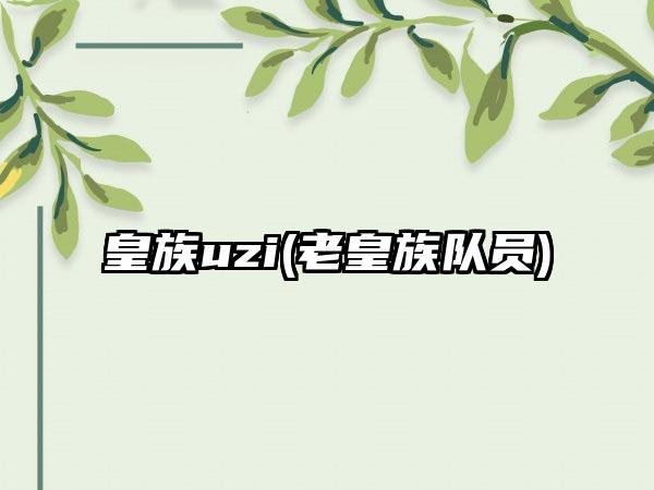 皇族uzi(老皇族队员)