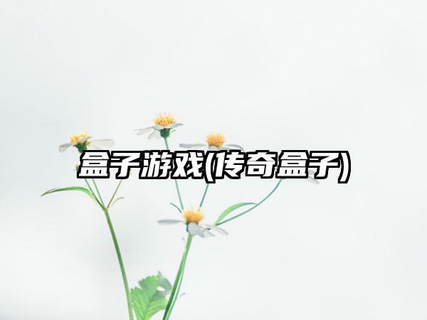 盒子游戏(传奇盒子)