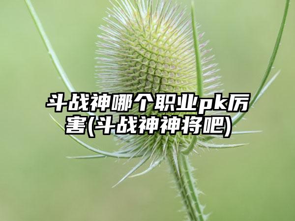 斗战神哪个职业pk厉害(斗战神神将吧)