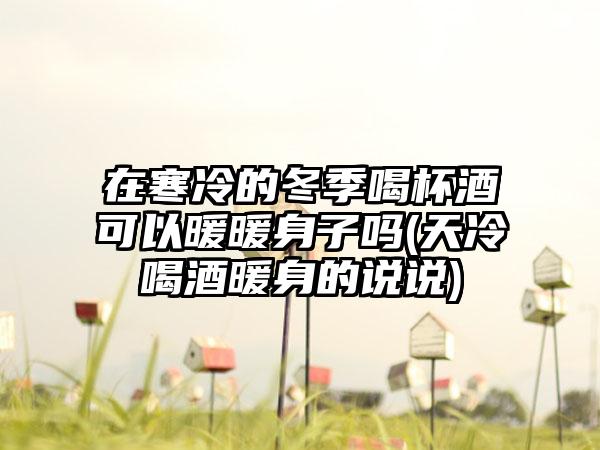 在寒冷的冬季喝杯酒可以暖暖身子吗(天冷喝酒暖身的说说)