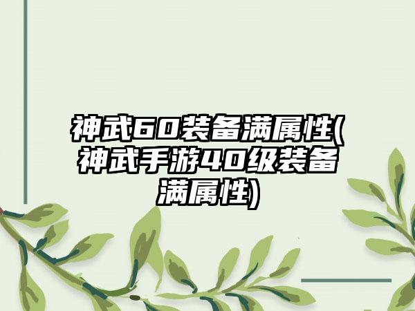 神武60装备满属性(神武手游40级装备满属性)