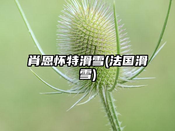 肖恩怀特滑雪(法国滑雪)