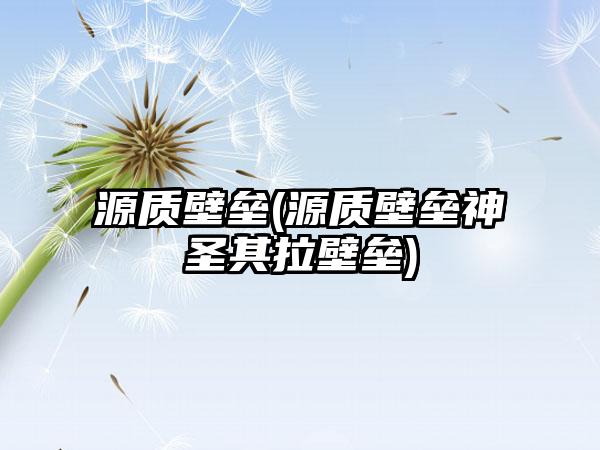 源质壁垒(源质壁垒神圣其拉壁垒)