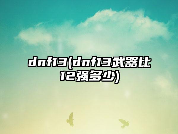 dnf13(dnf13武器比12强多少)