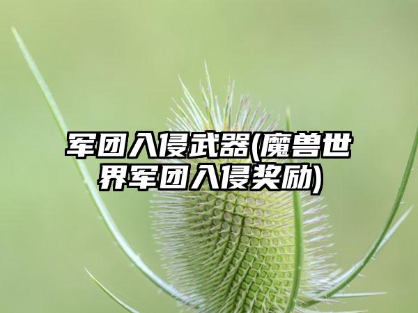 军团入侵武器(魔兽世界军团入侵奖励)