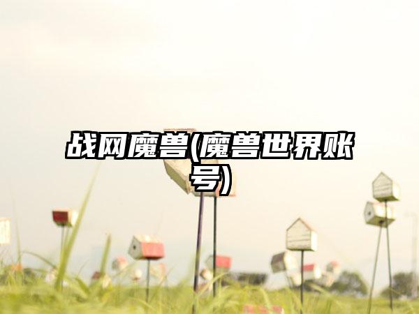 战网魔兽(魔兽世界账号)