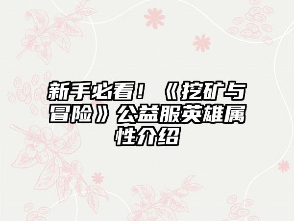 新手必看！《挖矿与冒险》公益服英雄属性介绍