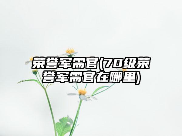 荣誉军需官(70级荣誉军需官在哪里)