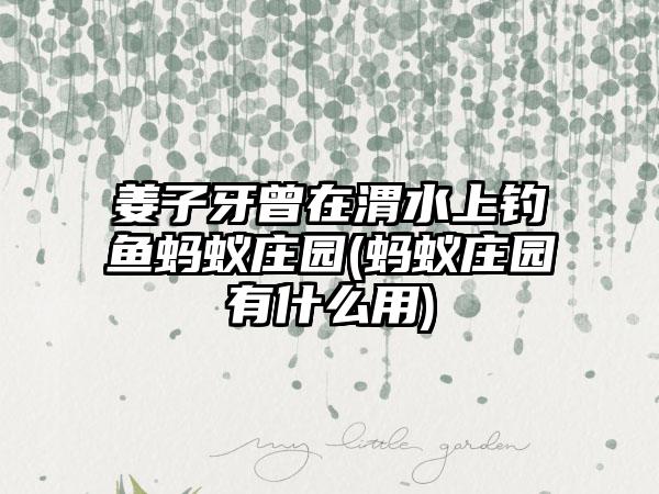 姜子牙曾在渭水上钓鱼蚂蚁庄园(蚂蚁庄园有什么用)