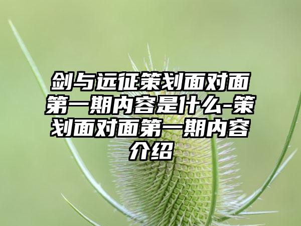 剑与远征策划面对面第一期内容是什么-策划面对面第一期内容介绍