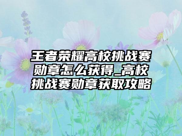 王者荣耀高校挑战赛勋章怎么获得_高校挑战赛勋章获取攻略