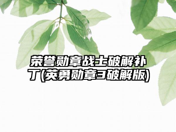 荣誉勋章战士破解补丁(英勇勋章3破解版)