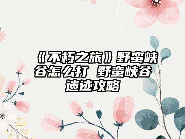 《不朽之旅》野蛮峡谷怎么打 野蛮峡谷遗迹攻略