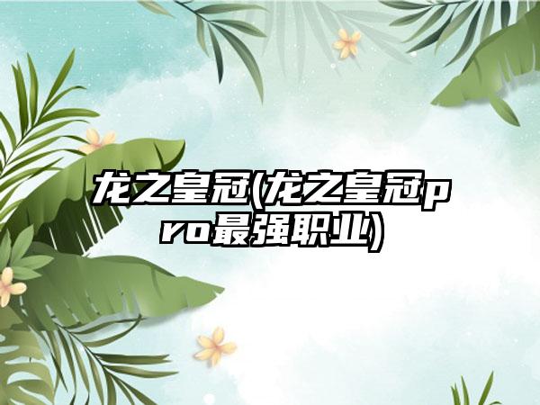龙之皇冠(龙之皇冠pro最强职业)