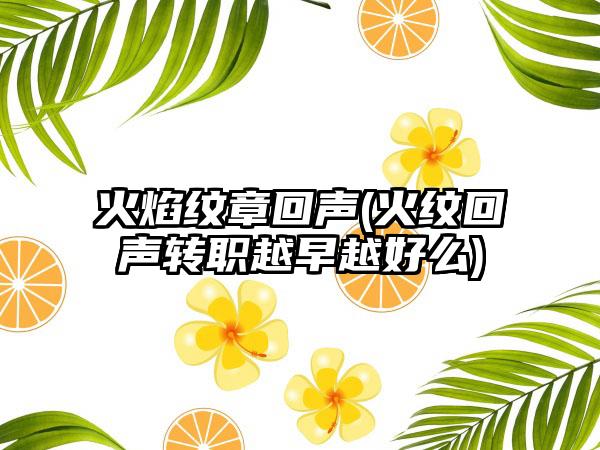 火焰纹章回声(火纹回声转职越早越好么)
