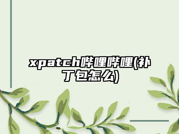 xpatch哔哩哔哩(补丁包怎么)