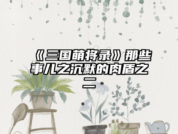 《三国萌将录》那些事儿之沉默的肉盾之二