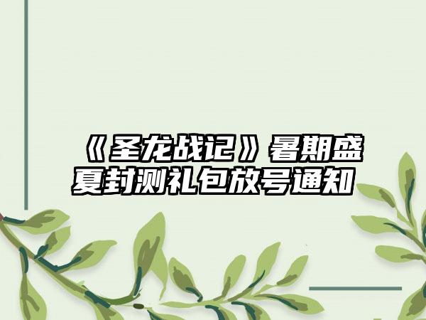 《圣龙战记》暑期盛夏封测礼包放号通知