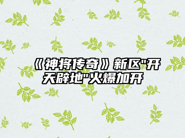 《神将传奇》新区