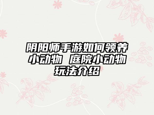 阴阳师手游如何领养小动物 庭院小动物玩法介绍