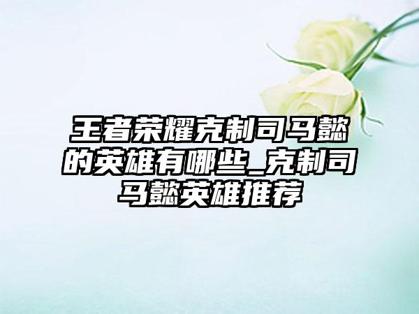 王者荣耀克制司马懿的英雄有哪些_克制司马懿英雄推荐