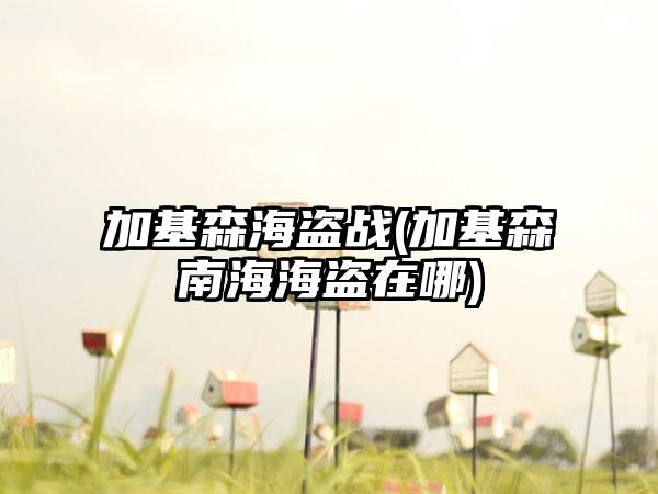 加基森海盗战(加基森南海海盗在哪)