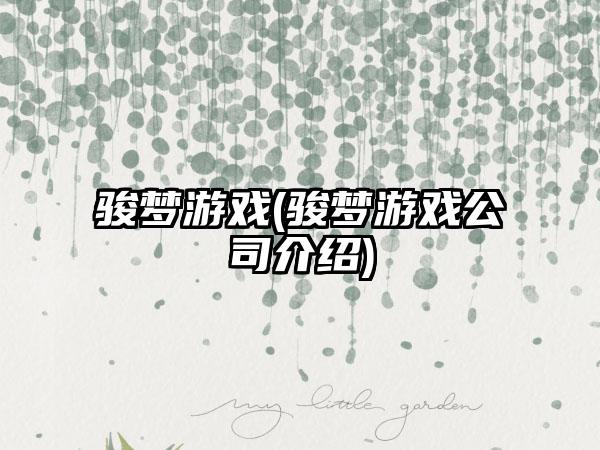 骏梦游戏(骏梦游戏公司介绍)