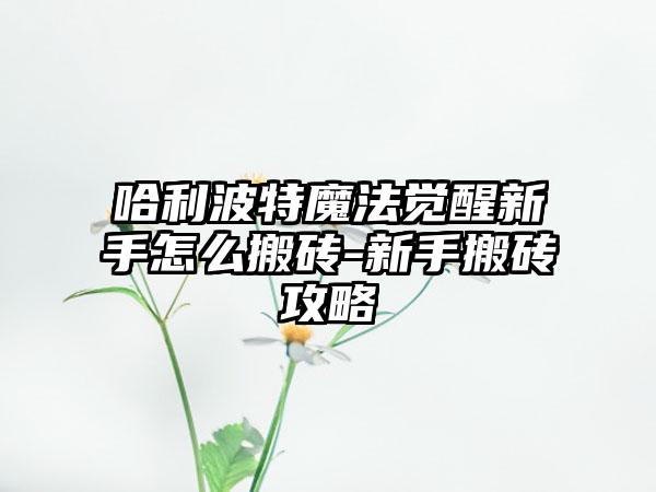 哈利波特魔法觉醒新手怎么搬砖-新手搬砖攻略