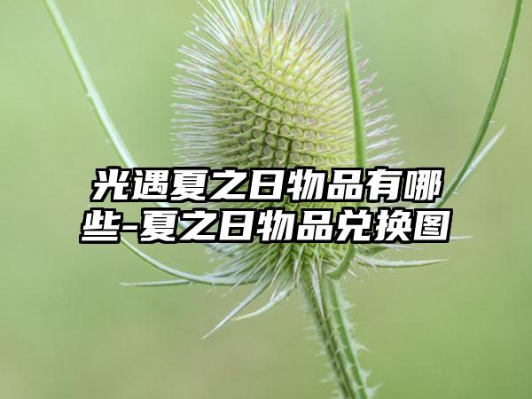 光遇夏之日物品有哪些-夏之日物品兑换图
