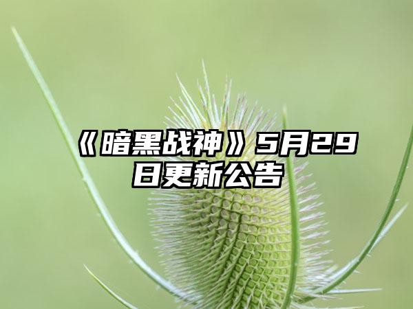 《暗黑战神》5月29日更新公告