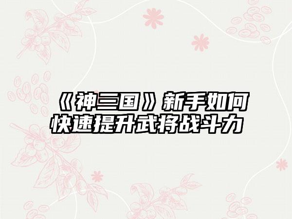 《神三国》新手如何快速提升武将战斗力