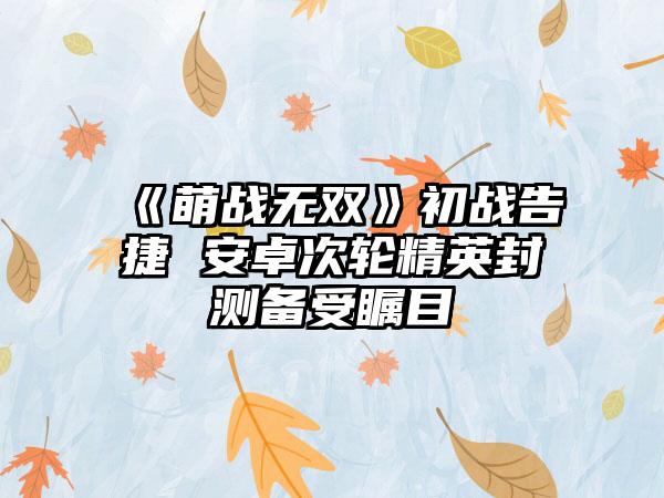 《萌战无双》初战告捷 安卓次轮精英封测备受瞩目
