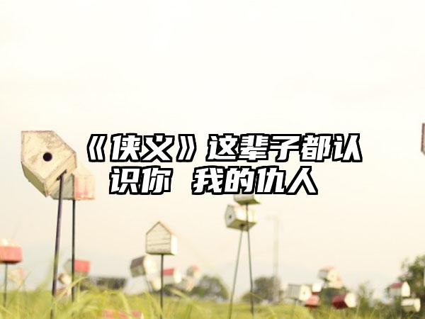 《侠义》这辈子都认识你 我的仇人