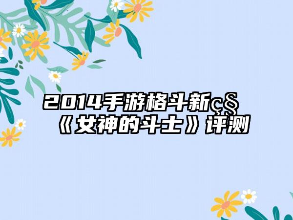 2014手游格斗新秀《女神的斗士》评测