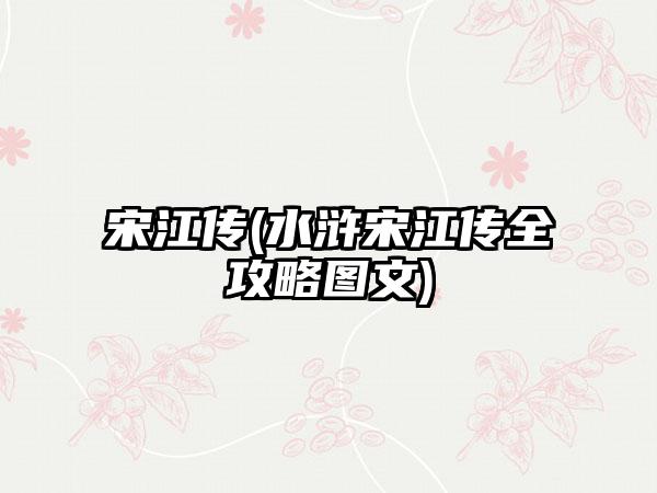 宋江传(水浒宋江传全攻略图文)