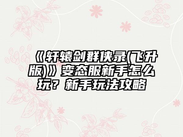 《轩辕剑群侠录(飞升版)》变态服新手怎么玩？新手玩法攻略