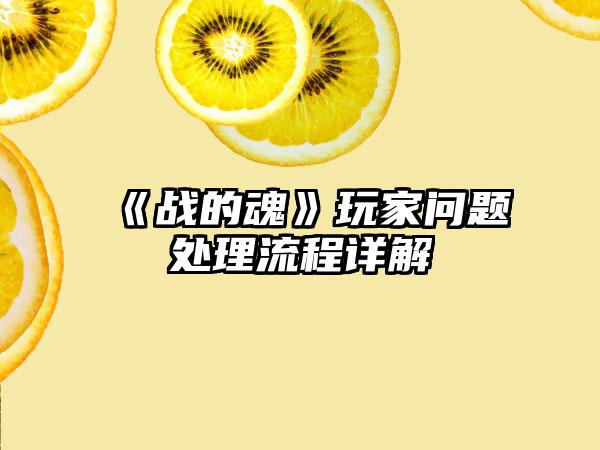 《战的魂》玩家问题处理流程详解